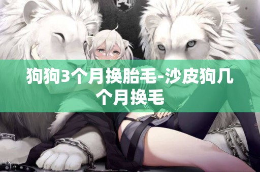 狗狗3個月換胎毛-沙皮狗幾個月換毛