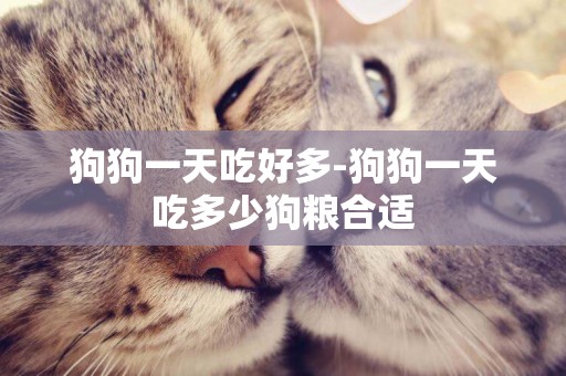 狗狗一天吃好多-狗狗一天吃多少狗糧合適