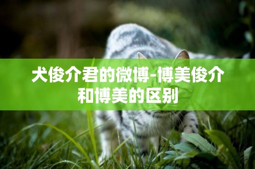 犬俊介君的微博-博美俊介和博美的區別
