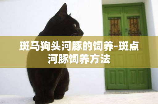 斑馬狗頭河豚的飼養-斑點河豚飼養方法