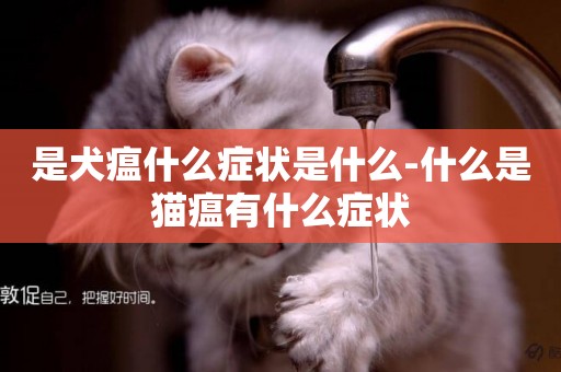 是犬瘟什么癥狀是什么-什么是貓瘟有什么癥狀