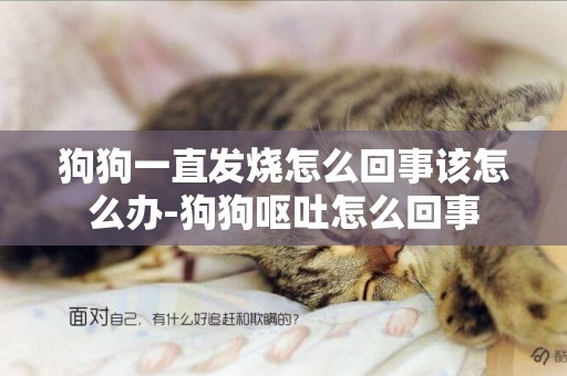 狗狗一直發燒怎么回事該怎么辦-狗狗嘔吐怎么回事