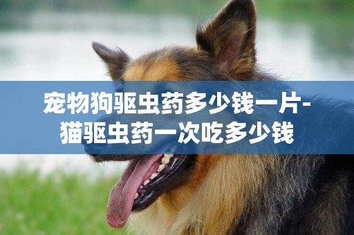 寵物狗驅蟲藥多少錢一片-貓驅蟲藥一次吃多少錢