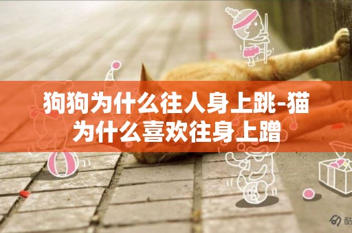 狗狗為什么往人身上跳-貓為什么喜歡往身上蹭