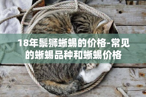 18年鬃獅蜥蜴的價格-常見的蜥蜴品種和蜥蜴價格