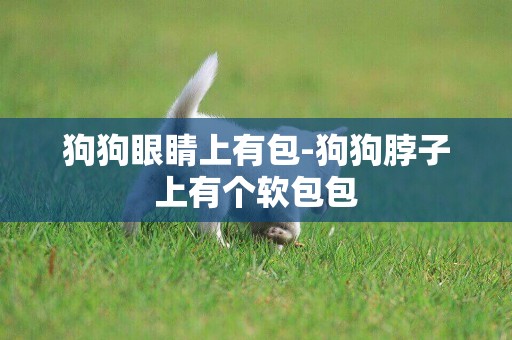 狗狗眼睛上有包-狗狗脖子上有個軟包包