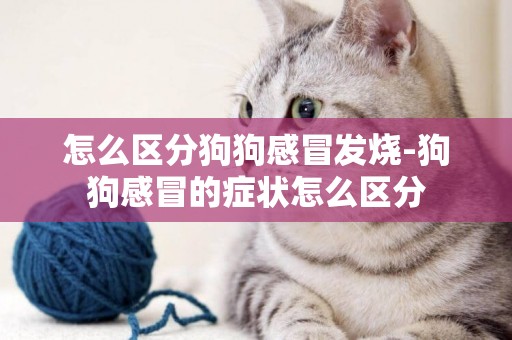 怎么區分狗狗感冒發燒-狗狗感冒的癥狀怎么區分