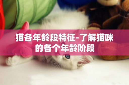 貓各年齡段特征-了解貓咪的各個年齡階段