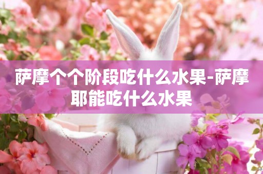 薩摩個個階段吃什么水果-薩摩耶能吃什么水果