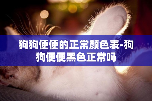 狗狗便便的正常顏色表-狗狗便便黑色正常嗎