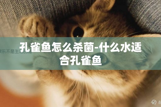 孔雀魚怎么殺菌-什么水適合孔雀魚