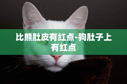 比熊肚皮有紅點-狗肚子上有紅點