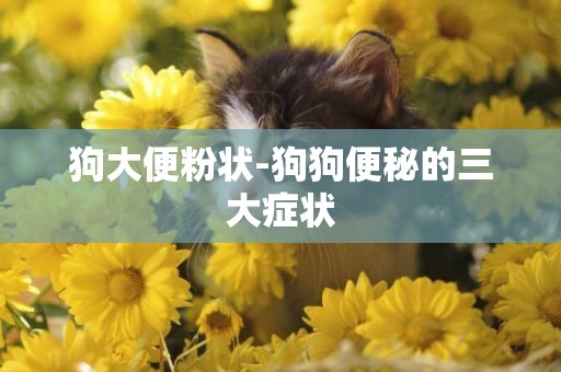 狗大便粉狀-狗狗便秘的三大癥狀