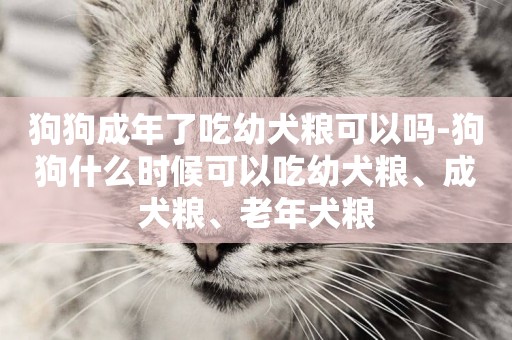 狗狗成年了吃幼犬糧可以嗎-狗狗什么時候可以吃幼犬糧、成犬糧、老年犬糧