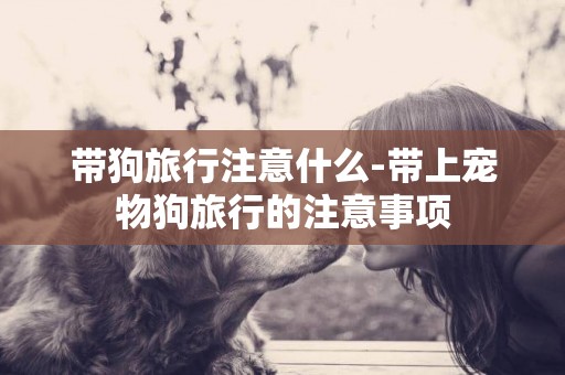 帶狗旅行注意什么-帶上寵物狗旅行的注意事項