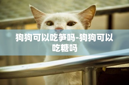 狗狗可以吃筍嗎-狗狗可以吃糖嗎