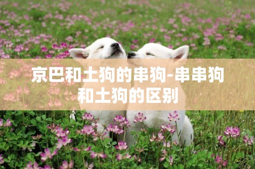 京巴和土狗的串狗-串串狗和土狗的區別