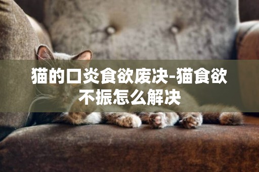 貓的口炎食欲廢決-貓食欲不振怎么解決