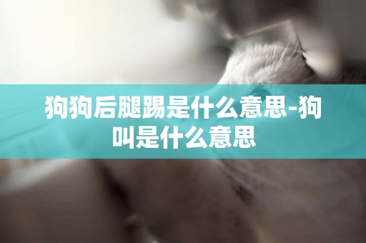 狗狗后腿踢是什么意思-狗叫是什么意思