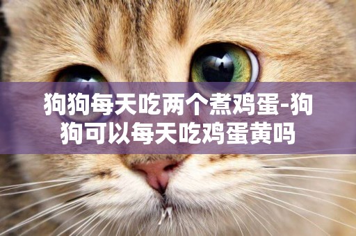 狗狗每天吃兩個煮雞蛋-狗狗可以每天吃雞蛋黃嗎