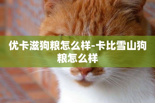 優卡滋狗糧怎么樣-卡比雪山狗糧怎么樣