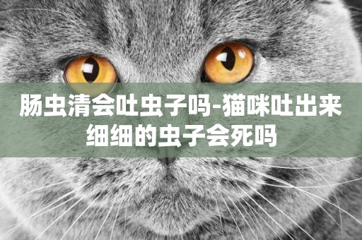 腸蟲清會吐蟲子嗎-貓咪吐出來細細的蟲子會死嗎