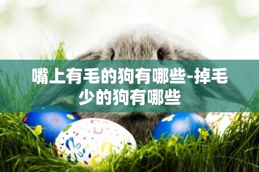 嘴上有毛的狗有哪些-掉毛少的狗有哪些