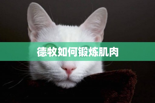 德牧如何鍛煉肌肉