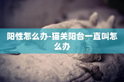 陽性怎么辦-貓關陽臺一直叫怎么辦