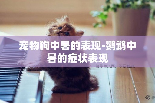 寵物狗中暑的表現-鸚鵡中暑的癥狀表現