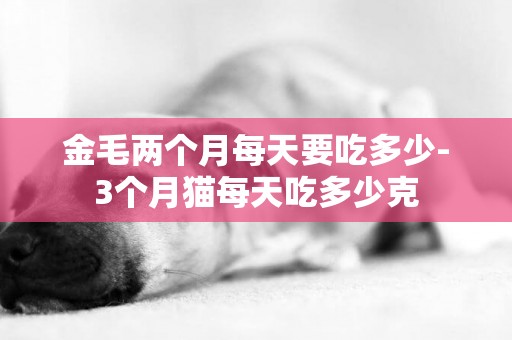 金毛兩個月每天要吃多少-3個月貓每天吃多少克