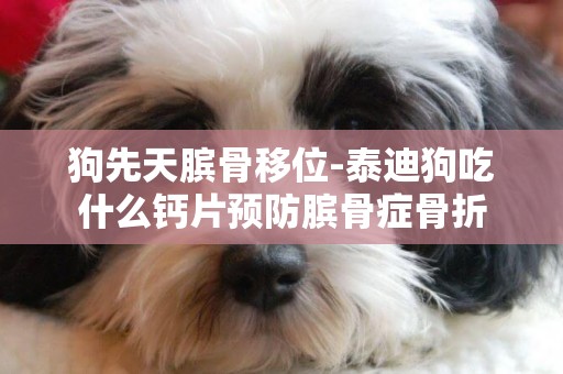 狗先天臏骨移位-泰迪狗吃什么鈣片預防臏骨癥骨折