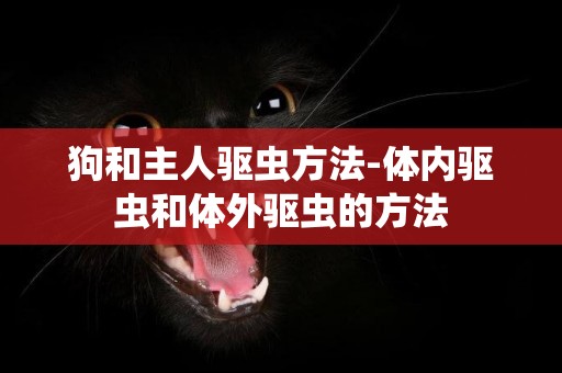 狗和主人驅蟲方法-體內驅蟲和體外驅蟲的方法