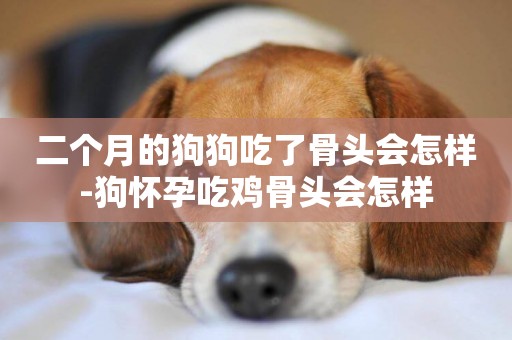 二個月的狗狗吃了骨頭會怎樣-狗懷孕吃雞骨頭會怎樣