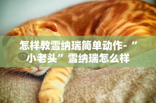 怎樣教雪納瑞簡單動作-“小老頭”雪納瑞怎么樣