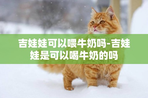 吉娃娃可以喂牛奶嗎-吉娃娃是可以喝牛奶的嗎