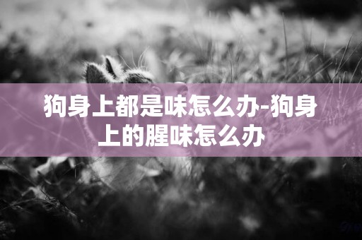 狗身上都是味怎么辦-狗身上的腥味怎么辦