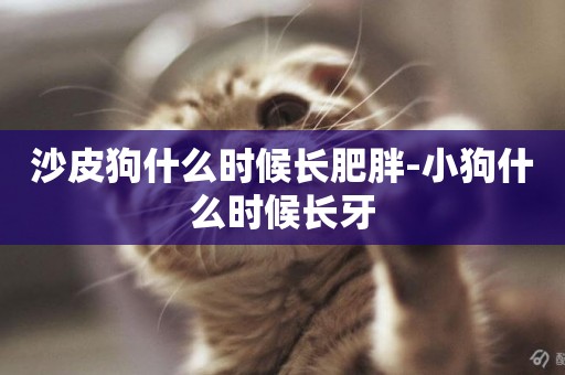 沙皮狗什么時候長肥胖-小狗什么時候長牙