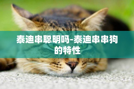 泰迪串聰明嗎-泰迪串串狗的特性