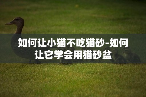 如何讓小貓不吃貓砂-如何讓它學會用貓砂盆