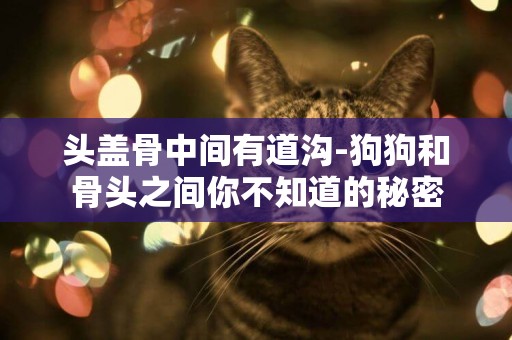 頭蓋骨中間有道溝-狗狗和骨頭之間你不知道的秘密