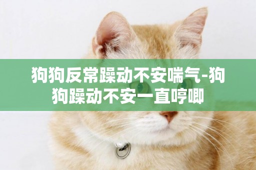 狗狗反常躁動不安喘氣-狗狗躁動不安一直哼唧