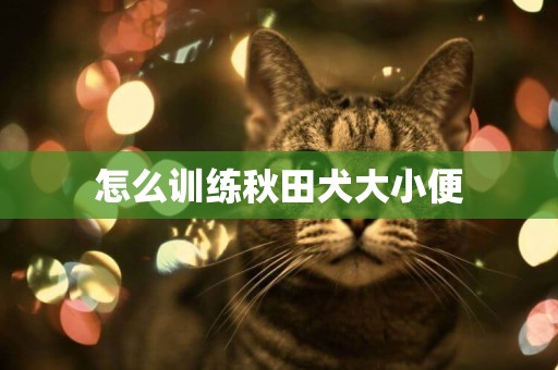 怎么訓練秋田犬大小便