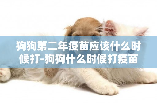 狗狗第二年疫苗應該什么時候打-狗狗什么時候打疫苗