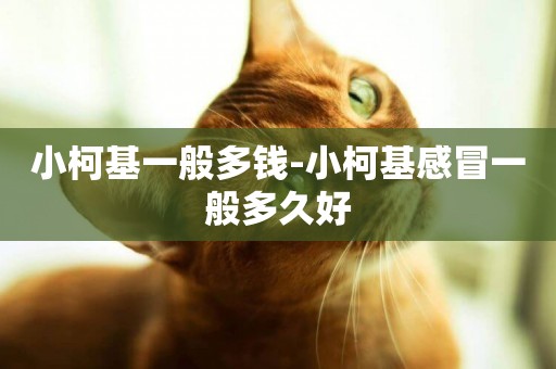 小柯基一般多錢-小柯基感冒一般多久好