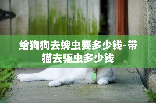 給狗狗去蜱蟲要多少錢-帶貓去驅蟲多少錢