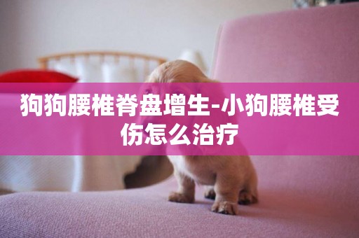 狗狗腰椎脊盤增生-小狗腰椎受傷怎么治療