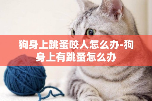 狗身上跳蚤咬人怎么辦-狗身上有跳蚤怎么辦