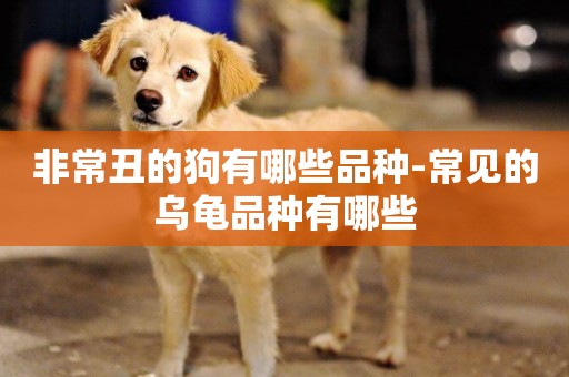 非常丑的狗有哪些品種-常見的烏龜品種有哪些