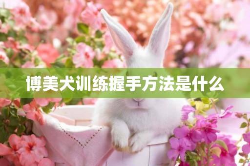 博美犬訓練握手方法是什么